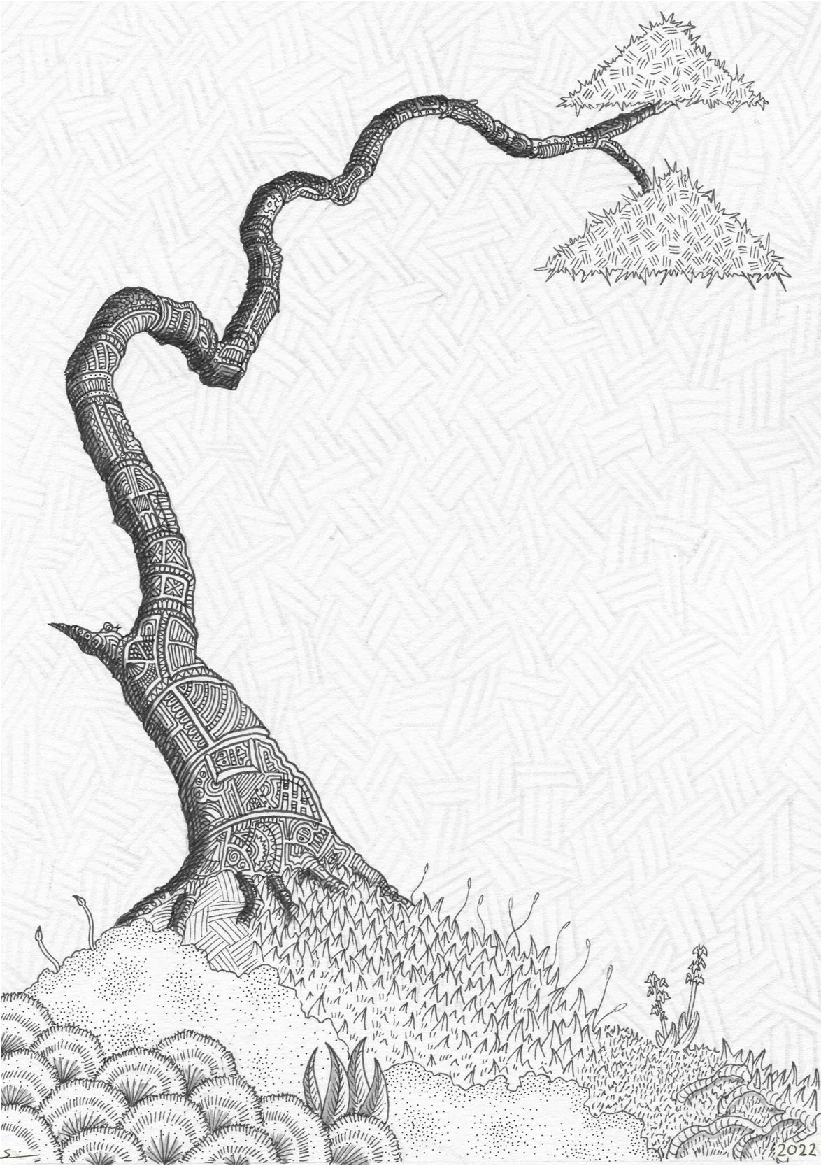 Bonsai Detail lll