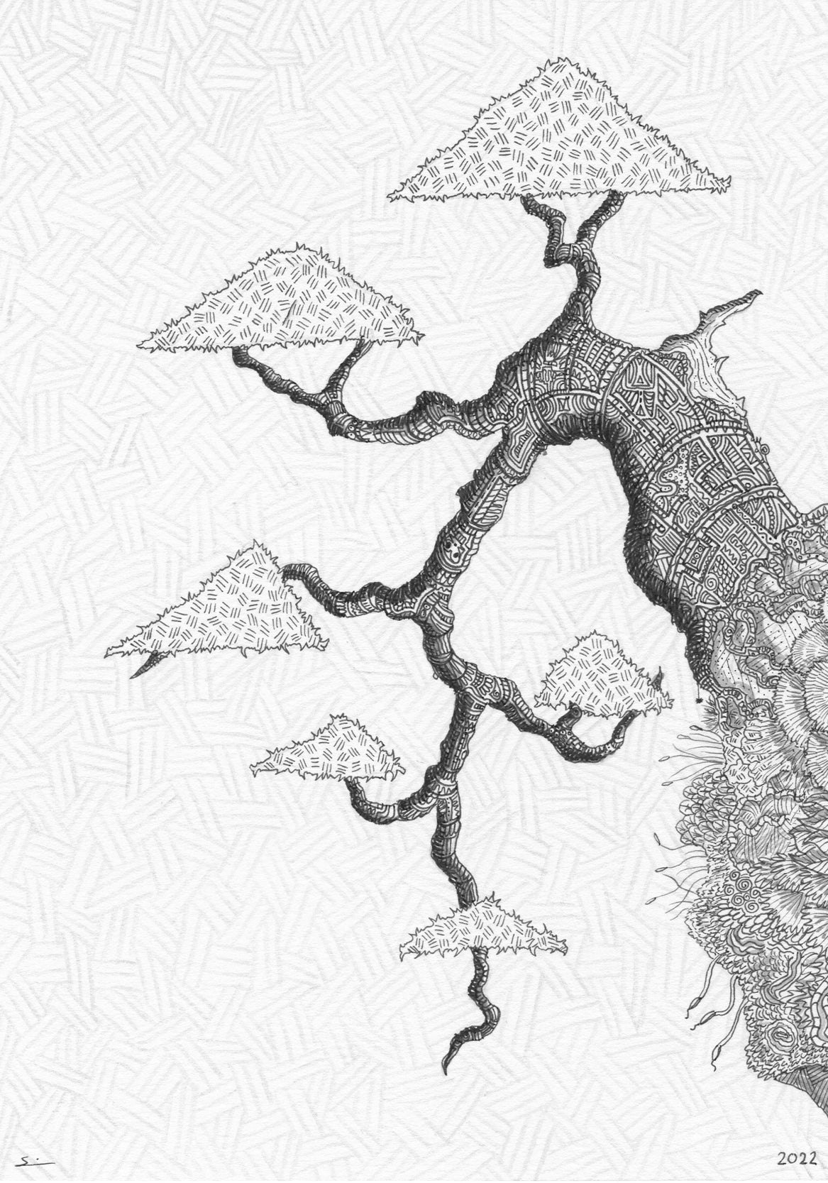 Bonsai Detail Vl