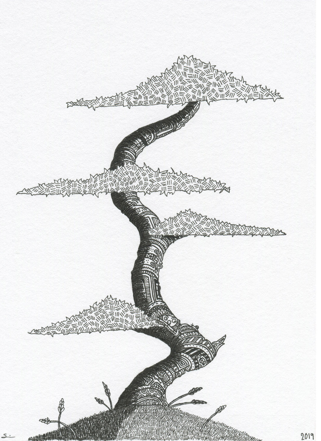 Bonsai Study l