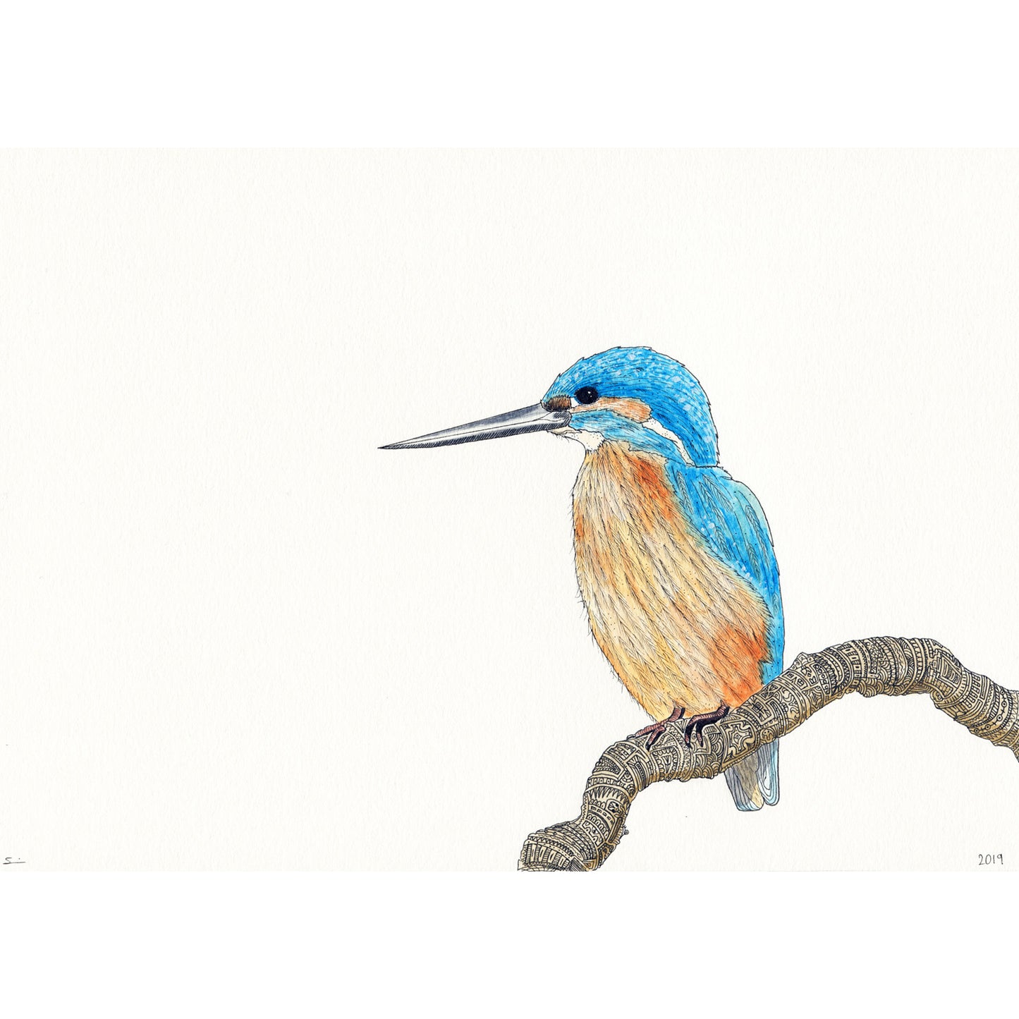 Kingfisher