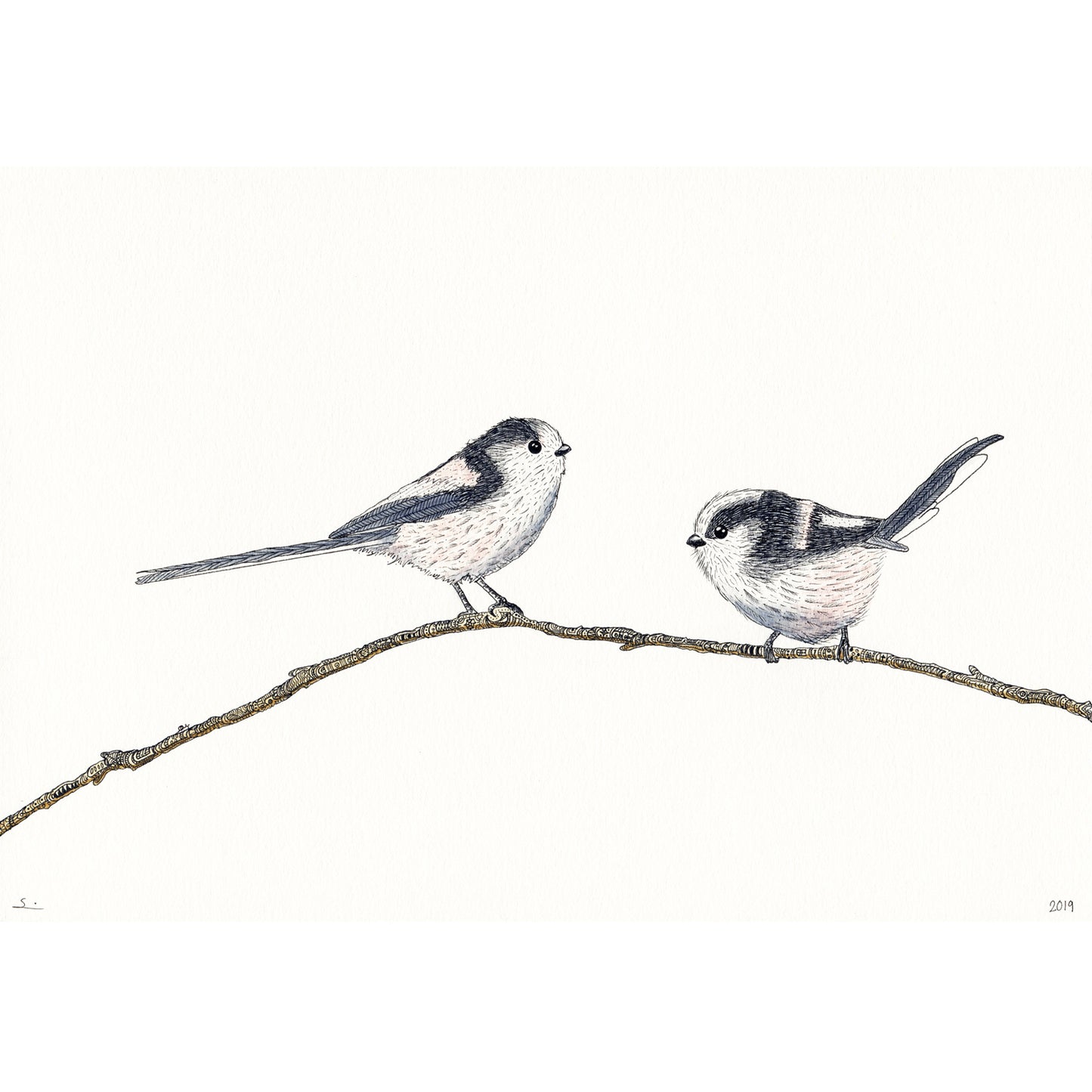 Long Tailed Tits