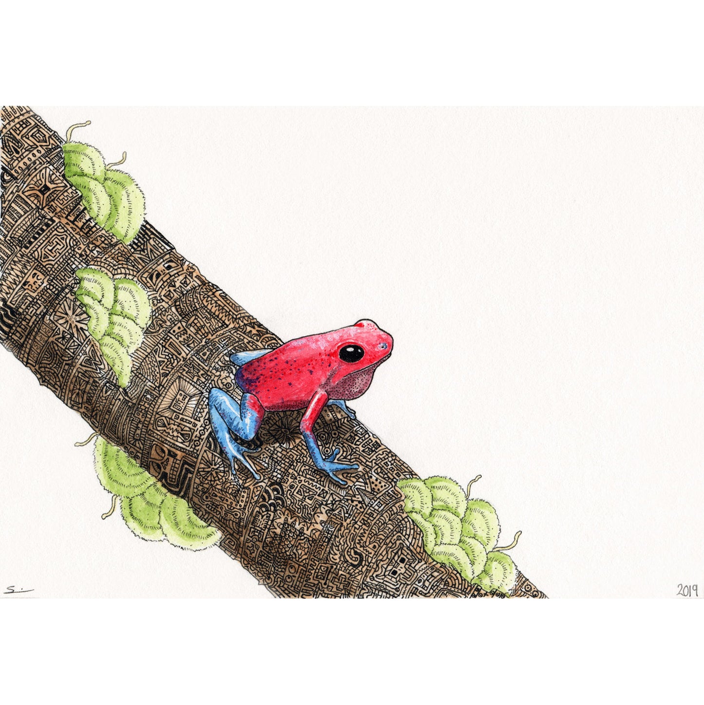 Poison Arrow Frog