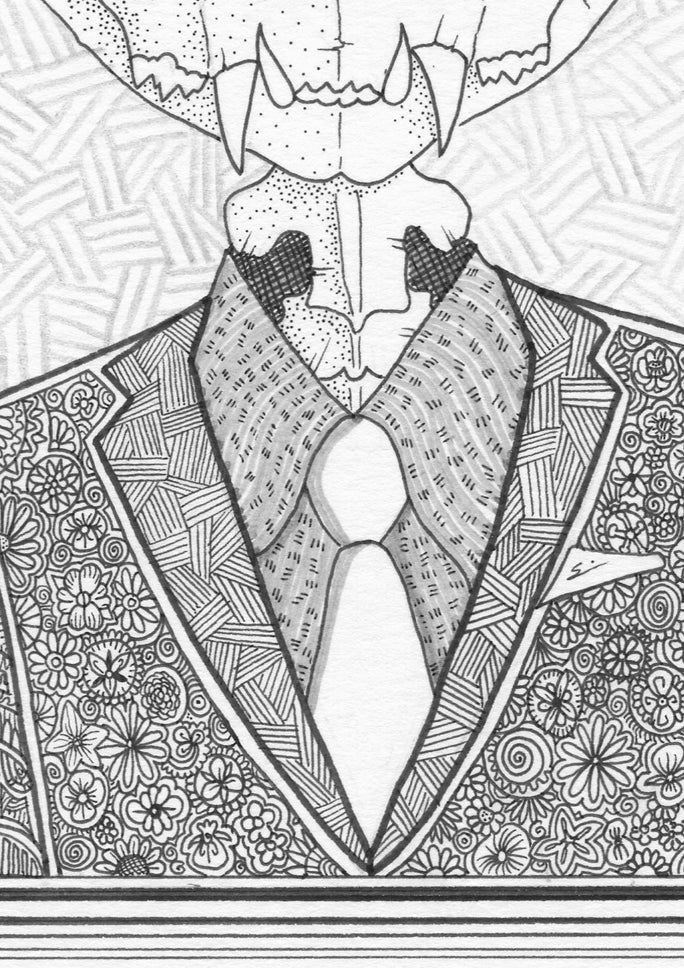 The Cat