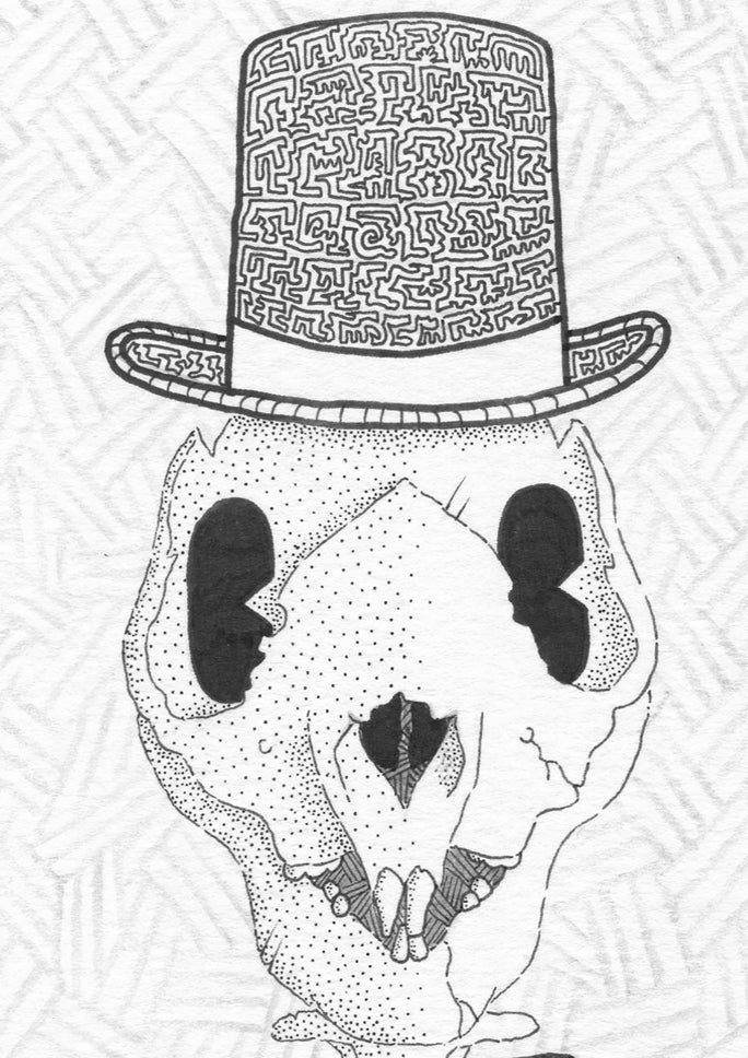 The Koala