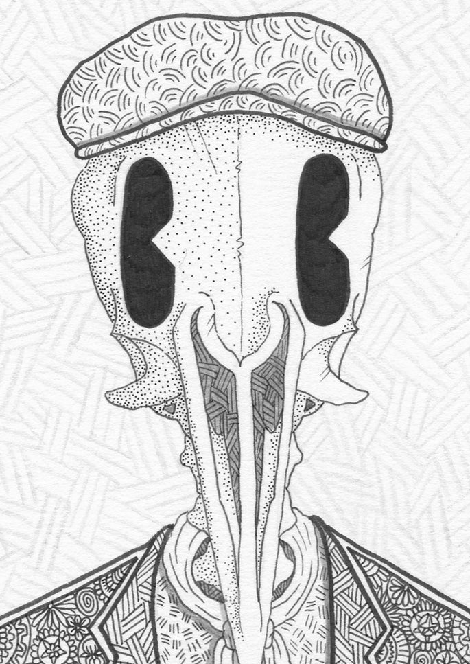 The Pigeon