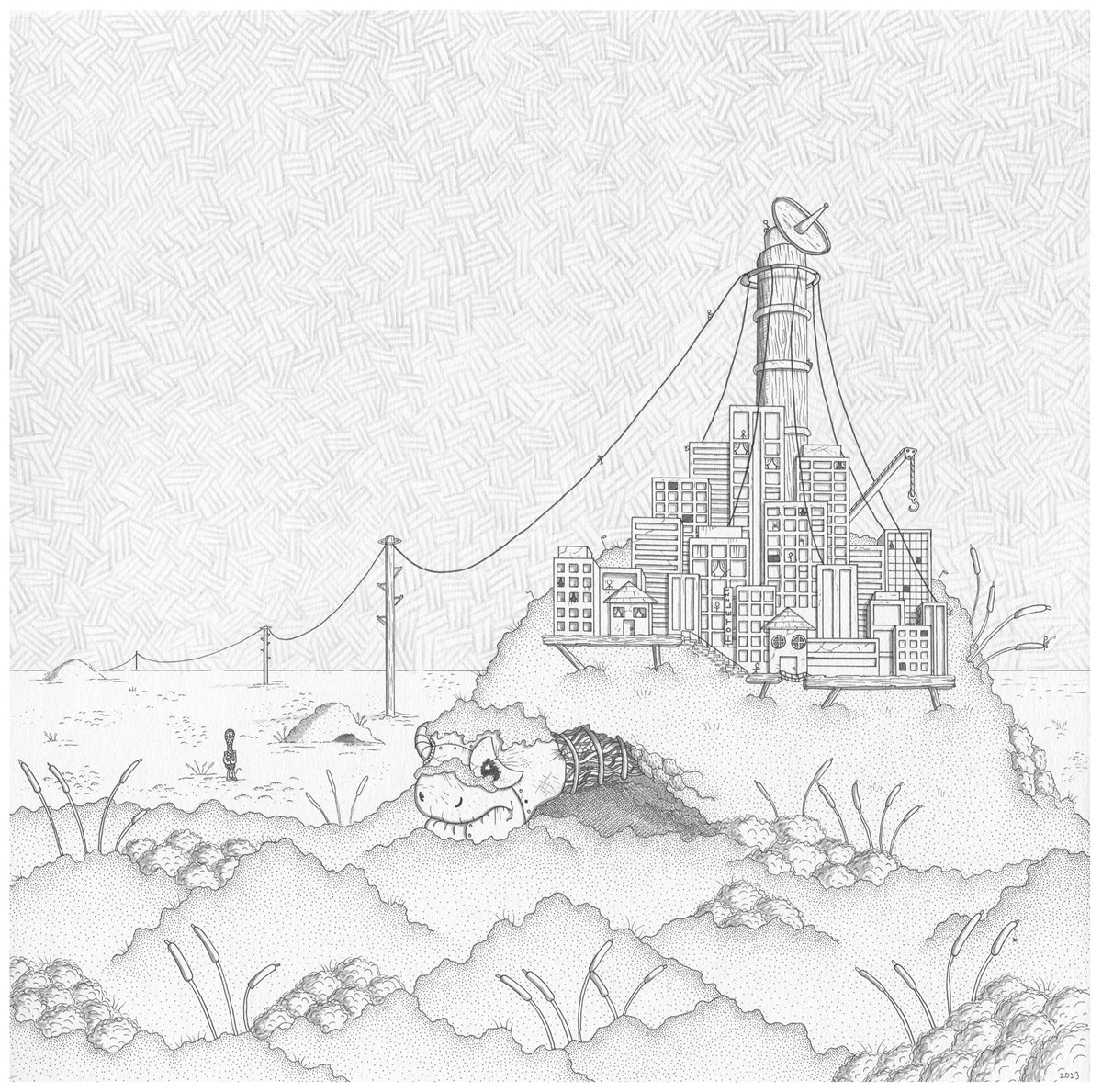 Tortoise town
