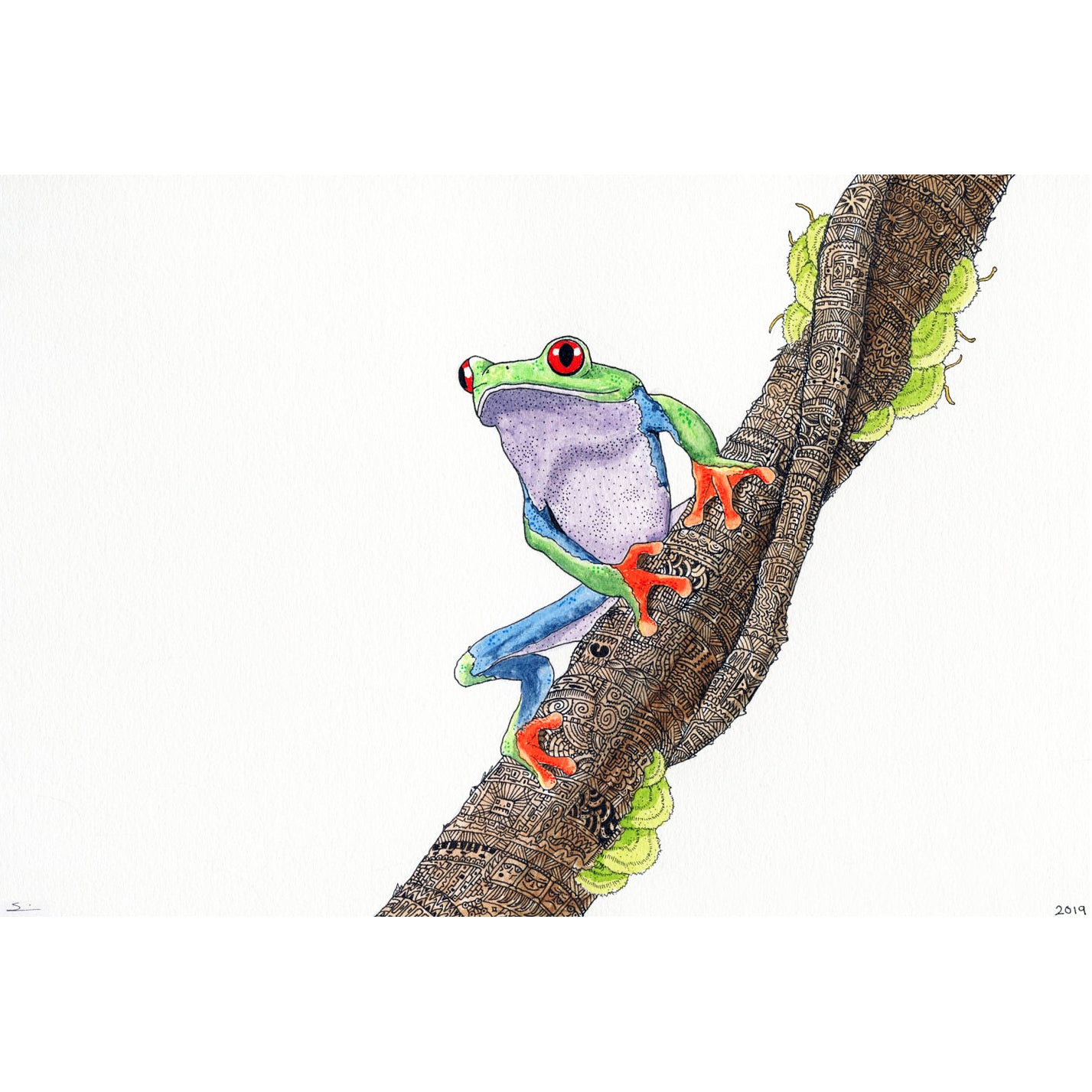 Limited Edition Print "Tree Frog"